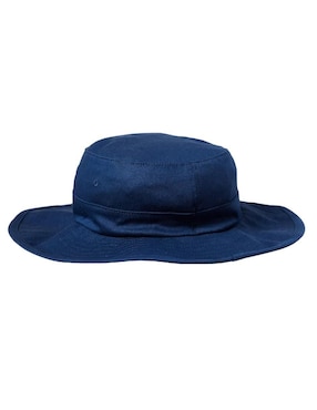 Sombrero Fox