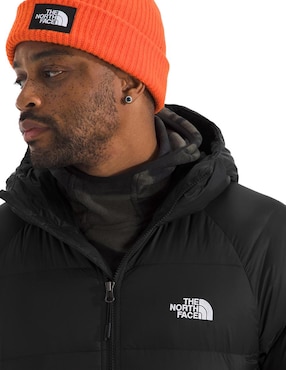 Chamarra parka The North Face con capucha para hombre
