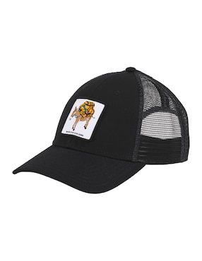 Gorra con visera curva correa ajustable casual The North Face Graphic Mudder Trucker para hombre