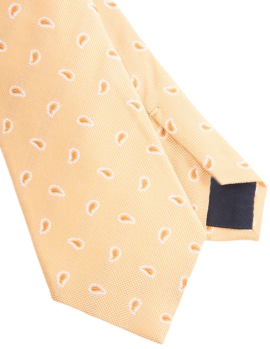 Corbata regular de seda estampado paisley para hombre 3