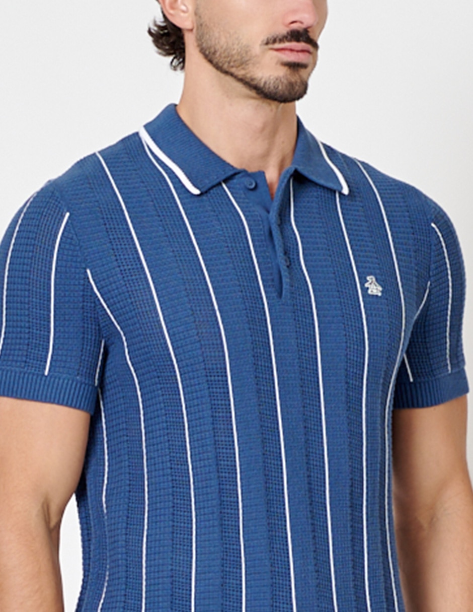 Playera tipo polo para hombre 2